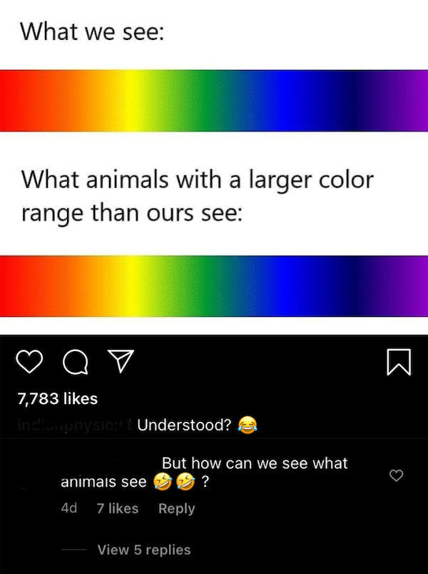 Where Is Logic? (29 pics)