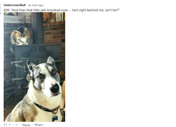 Sarcastic Comments (51 pics)