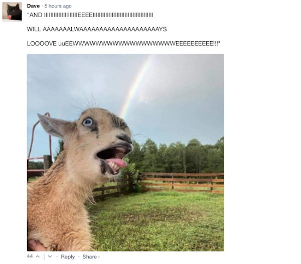 Sarcastic Comments (51 pics)
