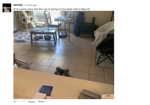 Sarcastic Comments (51 pics)