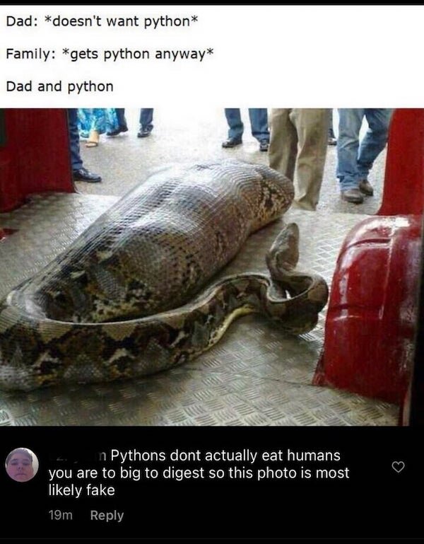 Where Is Logic? (29 pics)