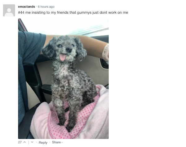 Sarcastic Comments (51 pics)