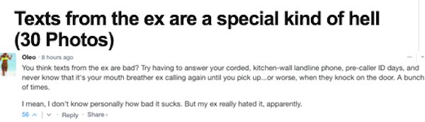Sarcastic Comments (51 pics)