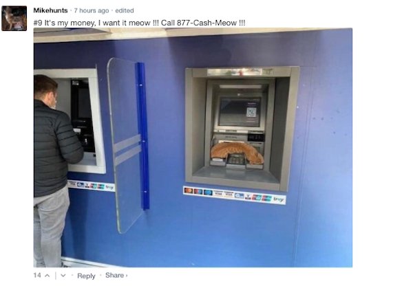 Sarcastic Comments (51 pics)
