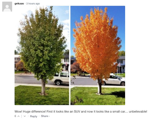 Sarcastic Comments (51 pics)