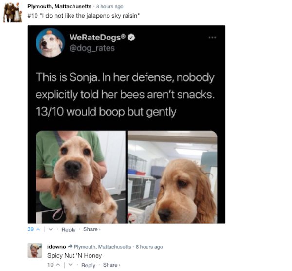 Sarcastic Comments (51 pics)