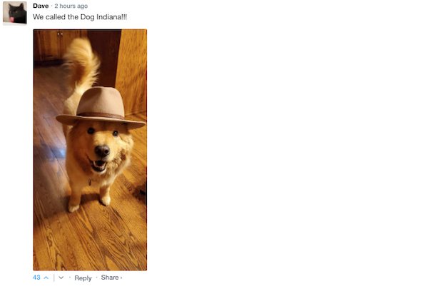 Sarcastic Comments (51 pics)