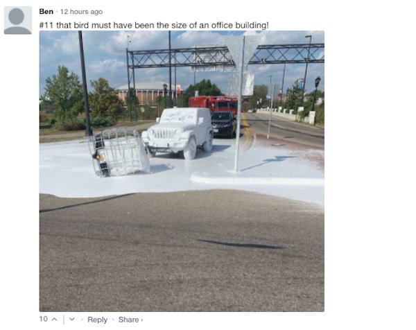Sarcastic Comments (51 pics)