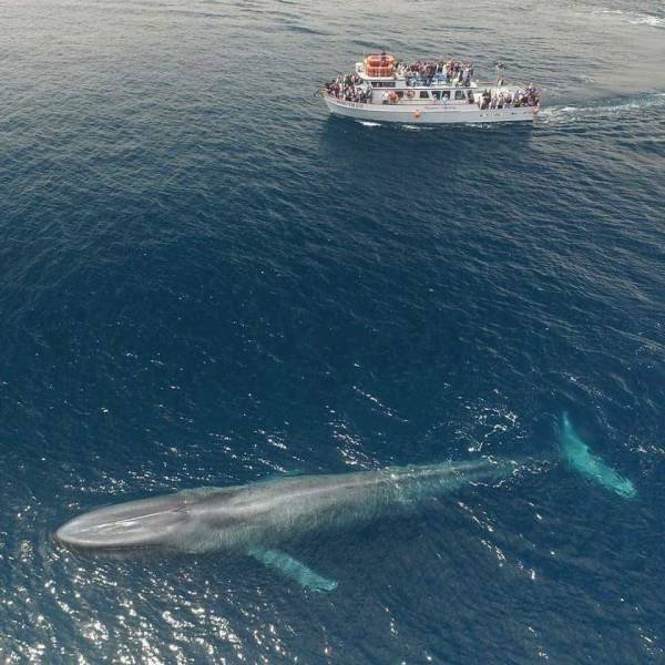 Amazing Pictures (49 pics)