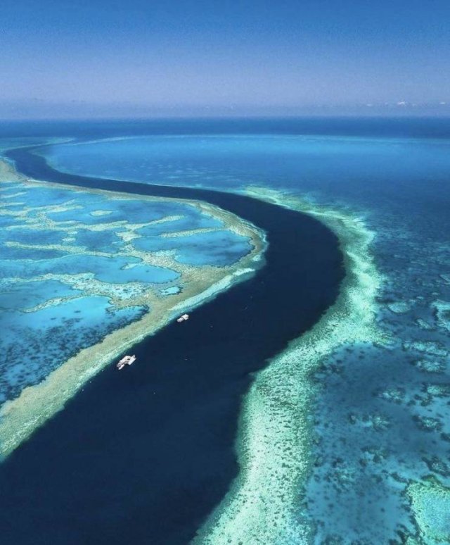 Amazing Pictures (49 pics)