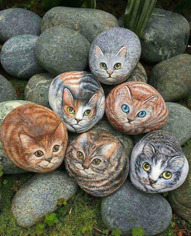 Amazing Pictures (49 pics)