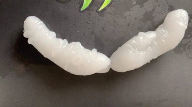 What Are These Things For? (20 pics)