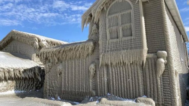 Amazing Pictures (49 pics)