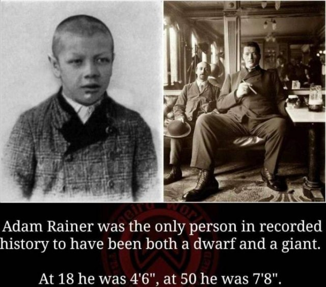 Amazing Pictures (49 pics)