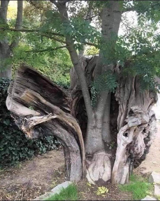 Amazing Pictures (49 pics)