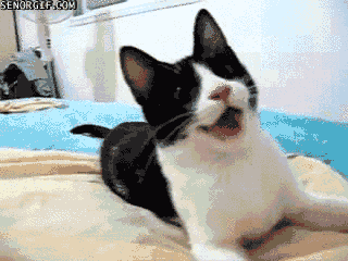 Acid Gifdump, November 30 (25 gifs)
