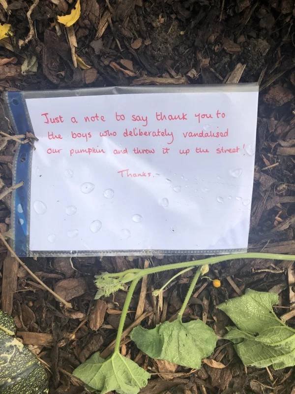 This Is Passive Aggression (19 pics)
