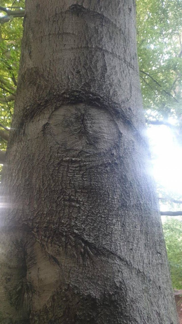 Acid Picdump. Part 2 (92 pics)