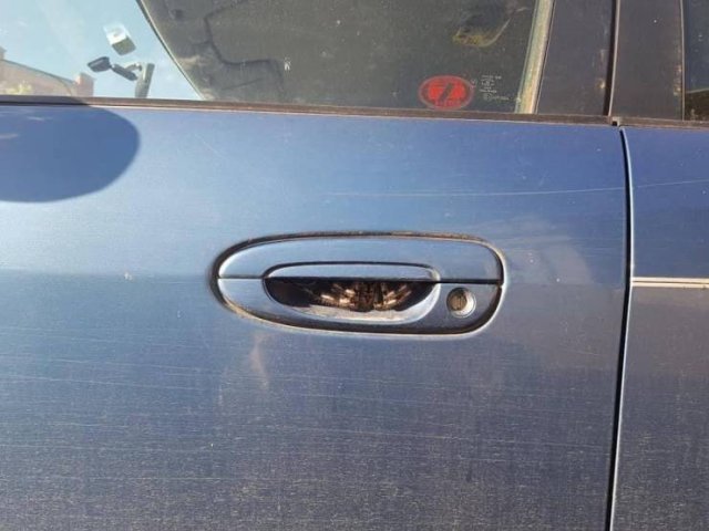 Acid Picdump. Part 2 (92 pics)