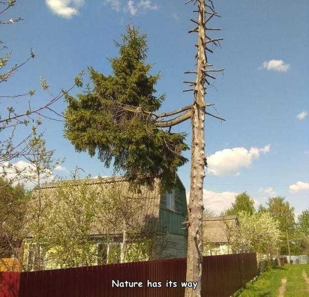 Acid Picdump. Part 2 (92 pics)