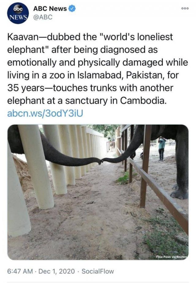 Acid Picdump. Part 2 (92 pics)