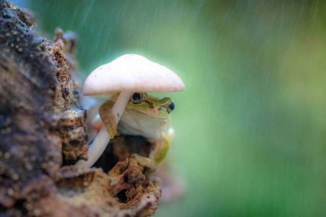 Acid Picdump. Part 2 (92 pics)