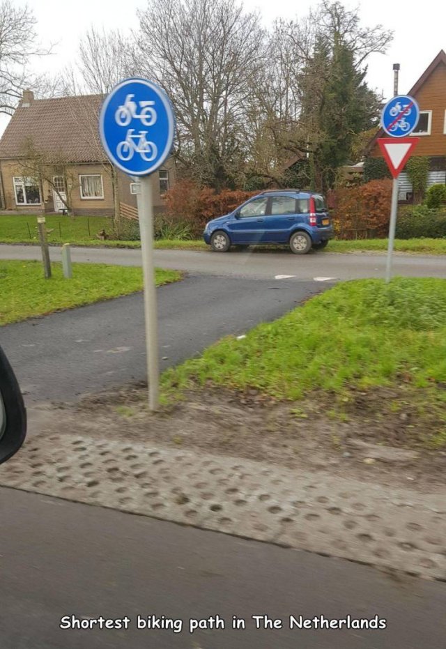 Acid Picdump. Part 1 (95 pics)
