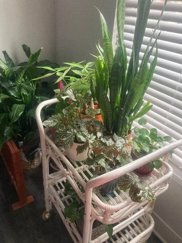 Old Things Turned Into Something New (28 pics)