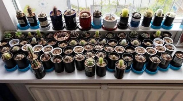 Old Things Turned Into Something New (28 pics)