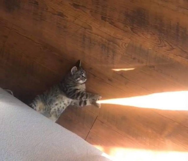 Acid Picdump. Part 1 (54 pics)