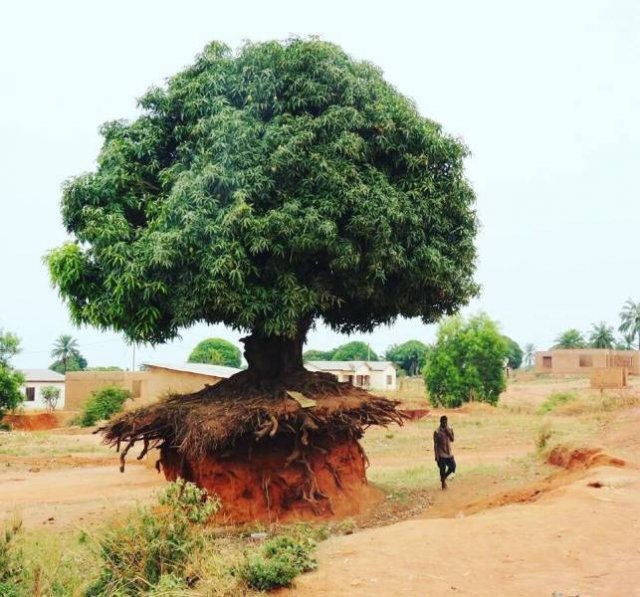 Acid Picdump. Part 1 (54 pics)