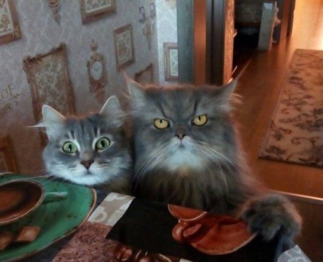 Acid Picdump. Part 2 (52 pics)