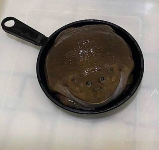 Acid Picdump. Part 2 (52 pics)