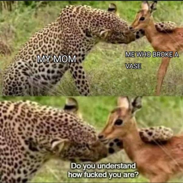 Acid Picdump. Part 2 (52 pics)