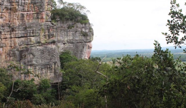 Prehistoric Paintings Were Discovered In Amazon Rainforest (15 pics)