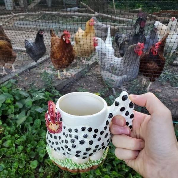 Thrift Shop Treasures (23 pics)