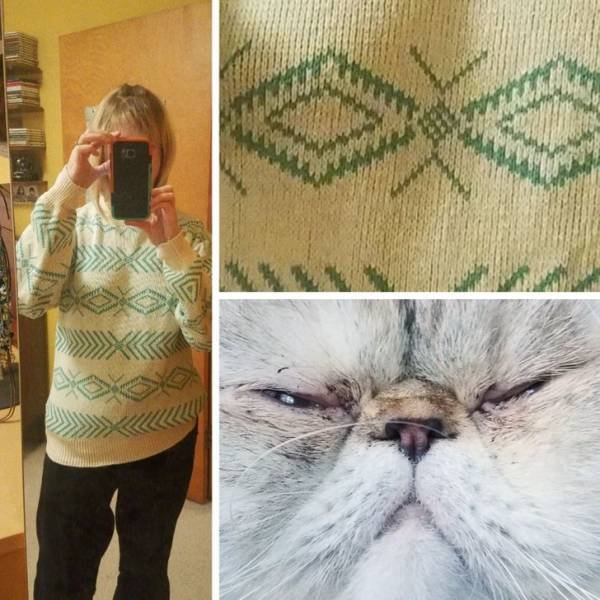 Thrift Shop Treasures (23 pics)