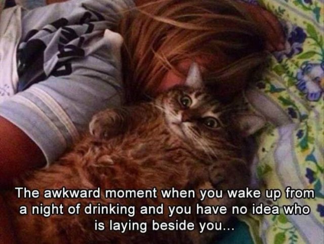 Random Funny Memes (89 pics)