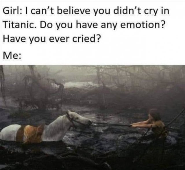 Random Funny Memes (89 pics)