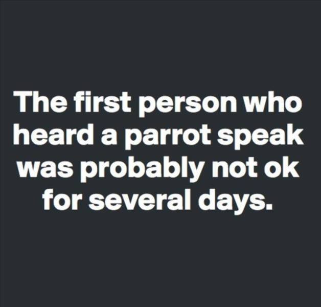 Random Funny Memes (89 pics)