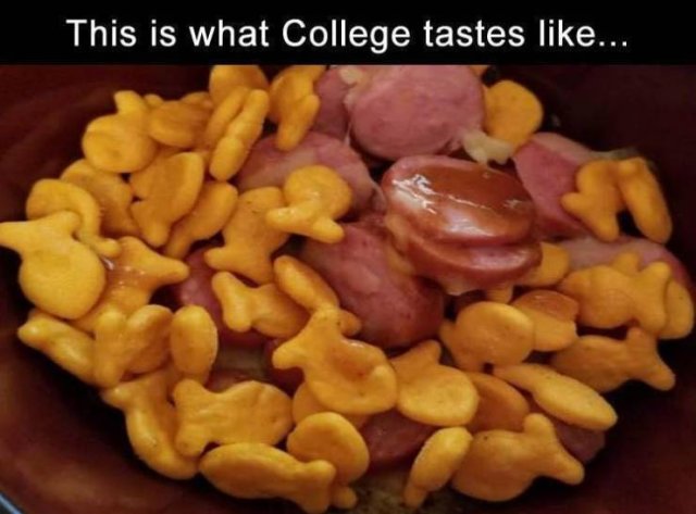 Random Funny Memes (89 pics)