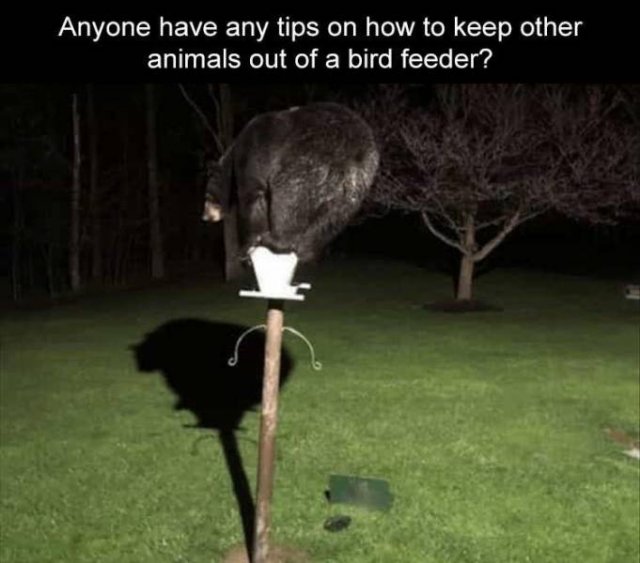 Random Funny Memes (89 pics)