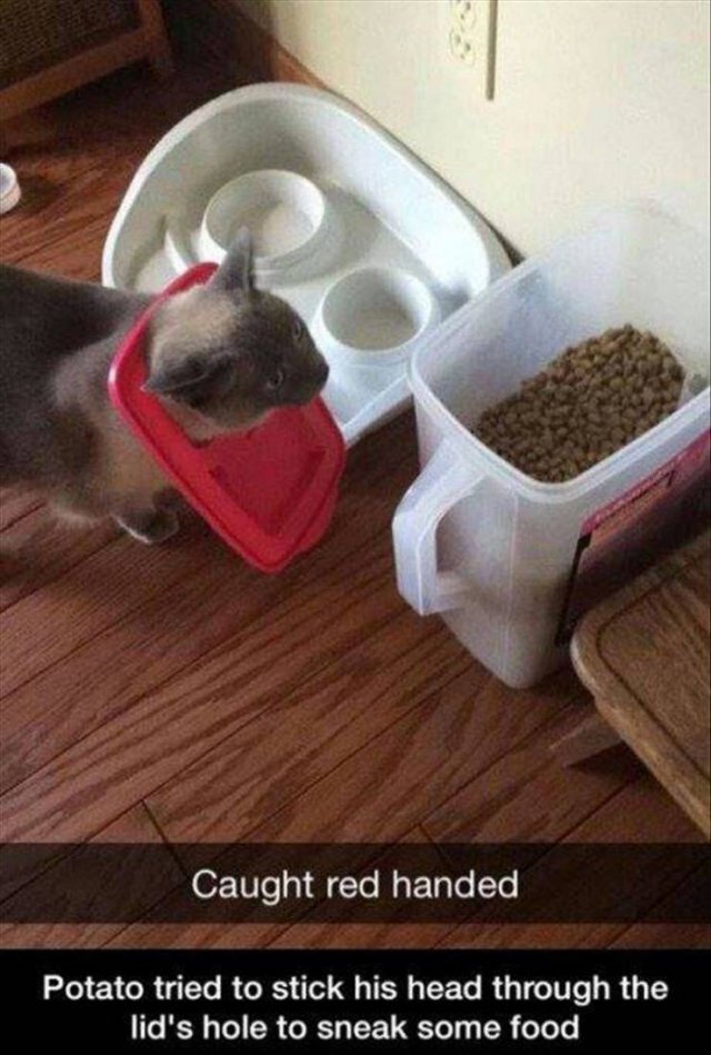 Random Funny Memes (89 pics)