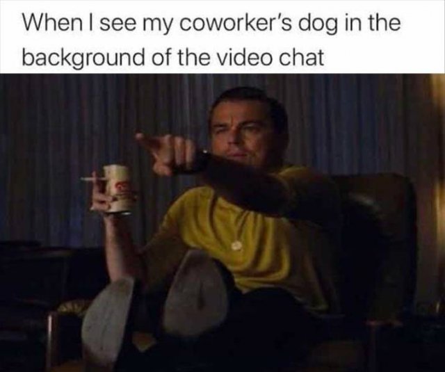 Random Funny Memes (89 pics)