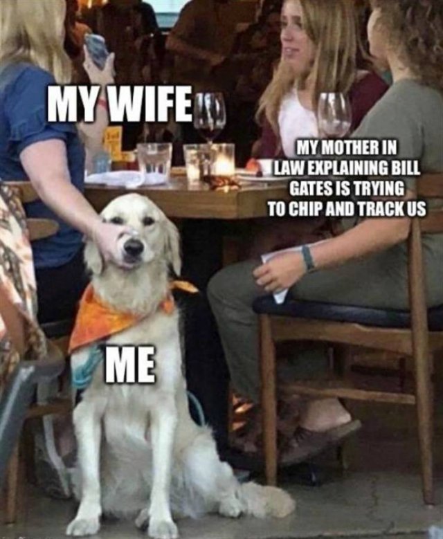 Random Funny Memes (89 pics)