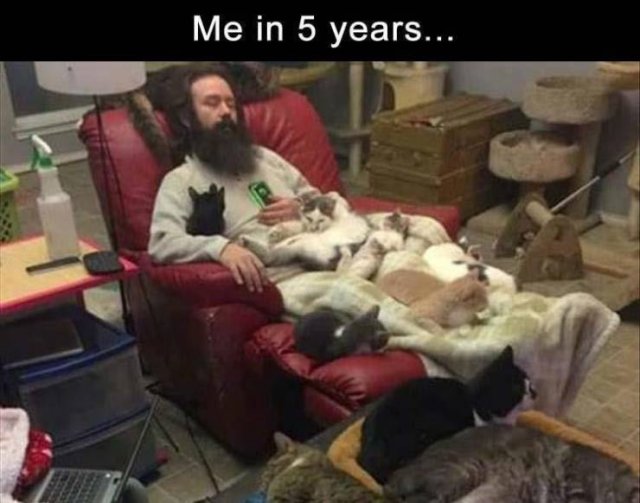 Random Funny Memes (89 pics)