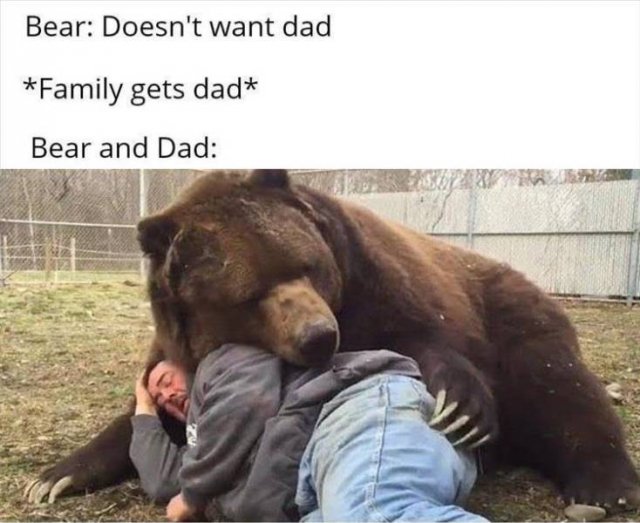 Random Funny Memes (89 pics)