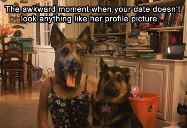 Random Funny Memes (89 pics)