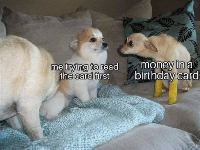 Random Funny Memes (89 pics)