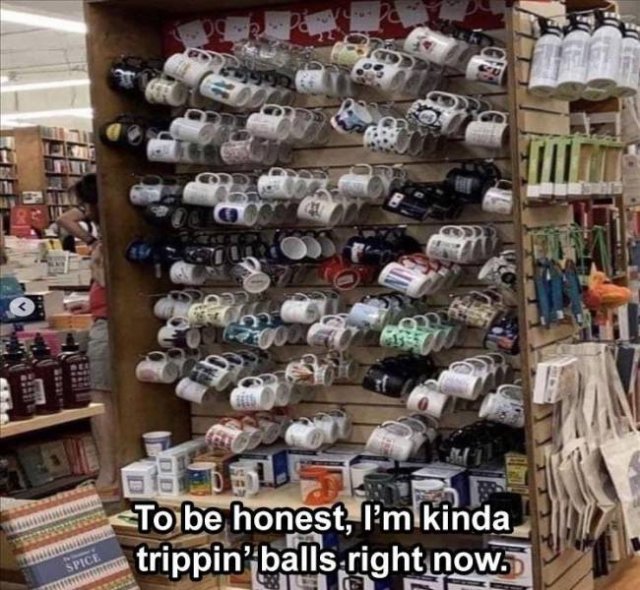 Random Funny Memes (89 pics)